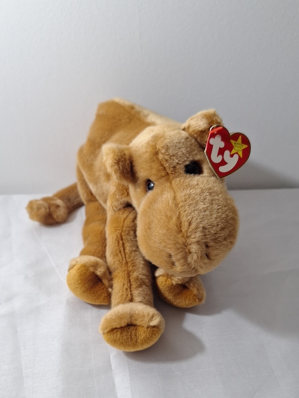 HUMPHREY The Camel Beanie Buddy
